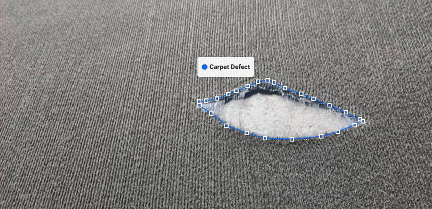 Identifying carpet defects