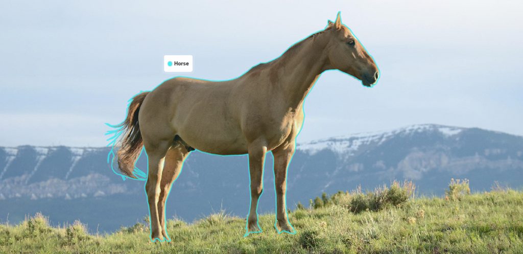 Introduction to Image Segmentation