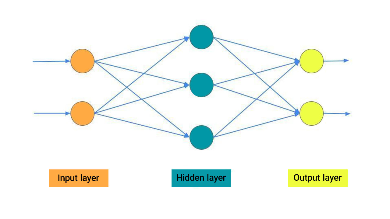 An overview of a neural network